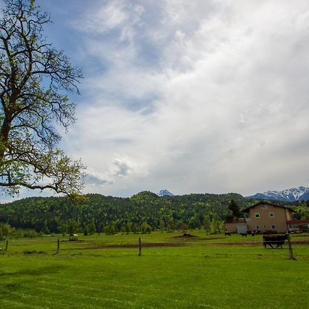 Gaestehaus Dobernig Sankt Niklas an der Drau Zewnętrze zdjęcie