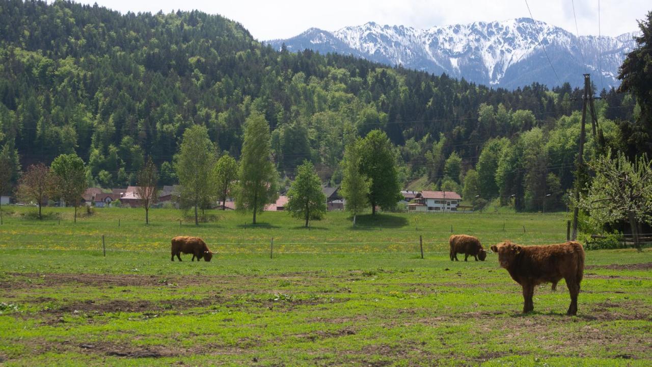 Gaestehaus Dobernig Sankt Niklas an der Drau Zewnętrze zdjęcie